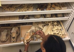 Rae Wynn-Grant Instagram - 20 years ago I walked into my first ecology class as a freshman at @emoryuniversity and It changed my life. But being a scientist in leadership wouldn’t have ever been possible without the grants, funding, and scholarships that helped me grow in this field. I’m proud that @wildkingdomtv is teaming up with @nwfecoleaders to provide the #EcoLeaders grant for students who need extra support to reach their science goals. Applications are now open! Learn more and apply today at the link in my bio 💪🏾