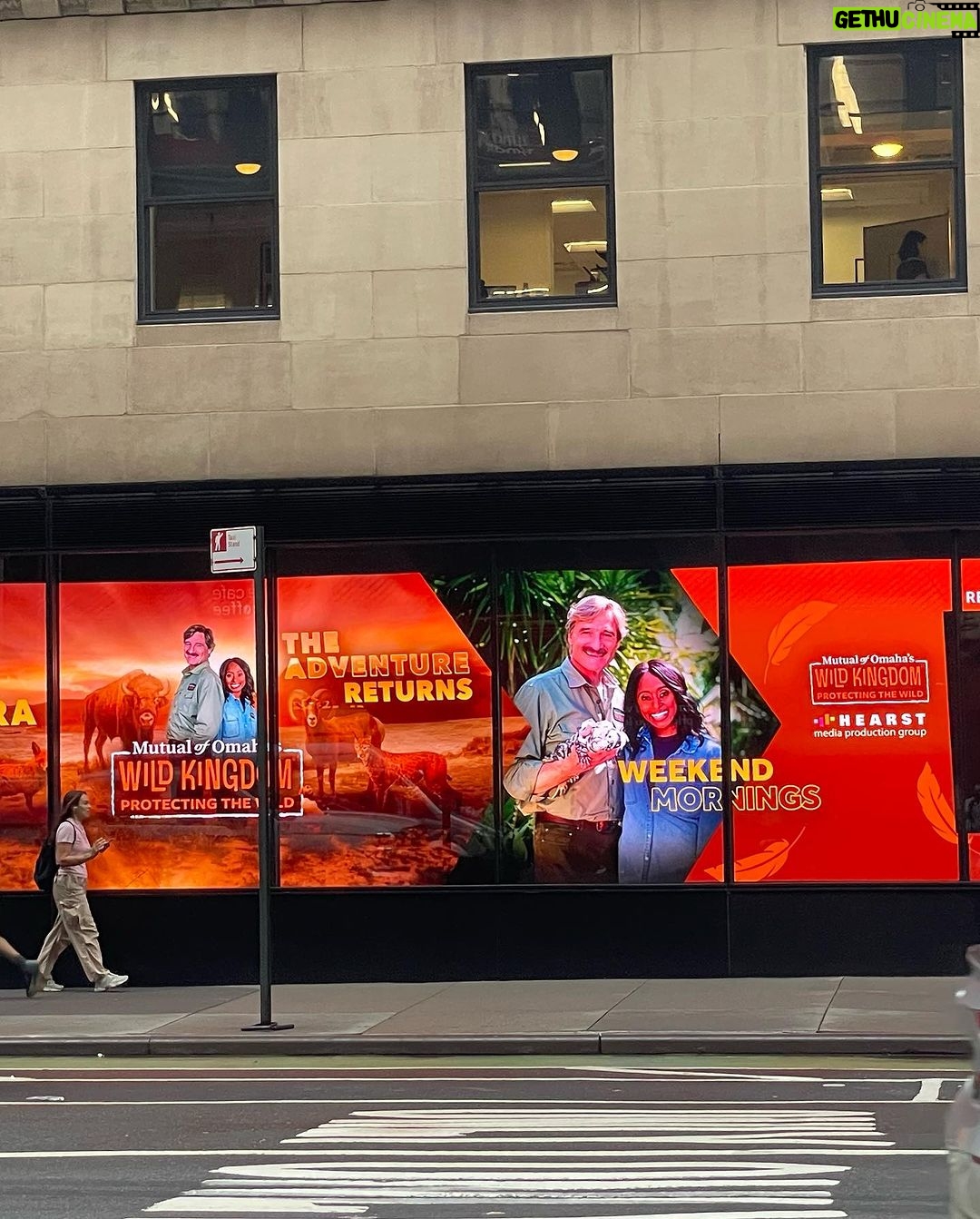 Rae Wynn-Grant Instagram - @wildkingdomtv premier event went down last night in nyc at Hearst Tower! How surreal to have friends send me pics of @peterwgros and me scrolling around the building 🤯. One day away from Oct 7th premier on @nbc and Oct 8th streaming on @peacock