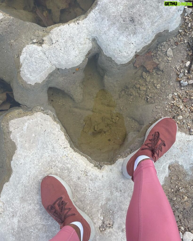 Rae Wynn-Grant Instagram - This week’s highlights: dinosaur footprints, canned smoked fish, African wildlife, bear news Dinasour Valley