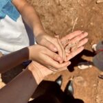 Rafa Kalimann Instagram - vim pra minas curtir minha família. tirei o dia pra ir pra fazenda com meus pequenos, primeira vez que o Gabriel anda a cavalo e como alegra meu coração poder estar em momentos assim com eles. minha melhor versão é essa aqui. 🫶🏻 interior, sobrinhos, meu pai, família comigo, natureza.. (e pão-de-queijo) Minas Gerais