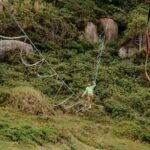 Rafael Bridi Instagram - Um pouco da ação de ontem nesse paraíso que é a Praia do Gravatá Os momentos de prática de Highline junto aos amigos imerso na natureza não tem igual. O dia de ontem começou cedo, repleto de tons de cinza, passando por um sol tímido entre as nuvens e na sequência um vento forte de nordeste apimentando o caminhar e a dança do equilíbrio Sempre muito bom caminhar ao lado da minha companheira de vida e aventuras @isadorasd e ainda de quebra receber esses registros irados do @andreippires E uma aventura a prova de tudo não é completa sem a companhia da @columbiabrasil #travelstoke #santacatarina #floripa #lonelyplanet #ilhadamagia #exploremore #viajandosc #floripando #viversc #santaebelacatarina #turismonosul #picosdefloripa #aprovadetudo #slacklining #slacklife #highline #tasteintravel #roamtheplanet #mytinyatlas #welivetoexplore #doyoutravel #slackliners #slacklinebrasil #balancecommunity #aventureirosdosul