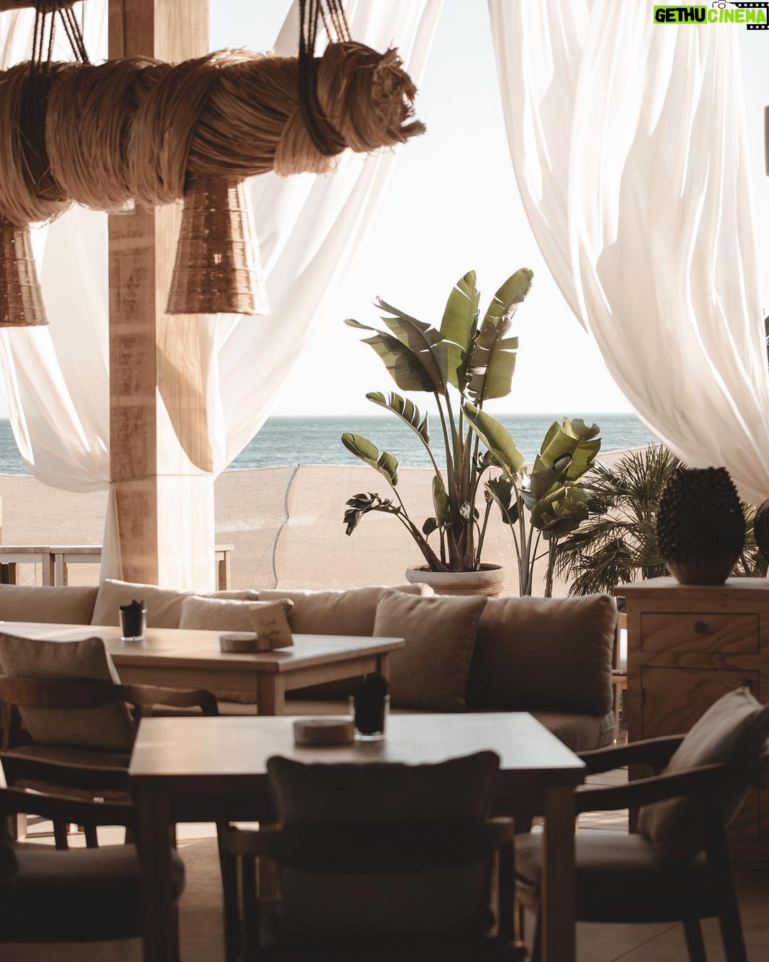 Rafael Nadal Instagram - Con este primer hotel ZEL en Mallorca, al igual que con el concepto que hemos creado para la marca, buscamos generar y compartir esos momentos de la vida de los que tanto disfruto. Todos sabéis que me gusta navegar, y sobre todo en el Mediterráneo; comer en la playa, en un chiringuito o en beach club y relajarme mientras paso tiempo con amigos y familia, sintiéndome en casa. Para mí esto es lo más importante y lo que quería transmitir con el proyecto ZEL. Creo que lo hemos conseguido. #BornInTheMed #ZelHotels