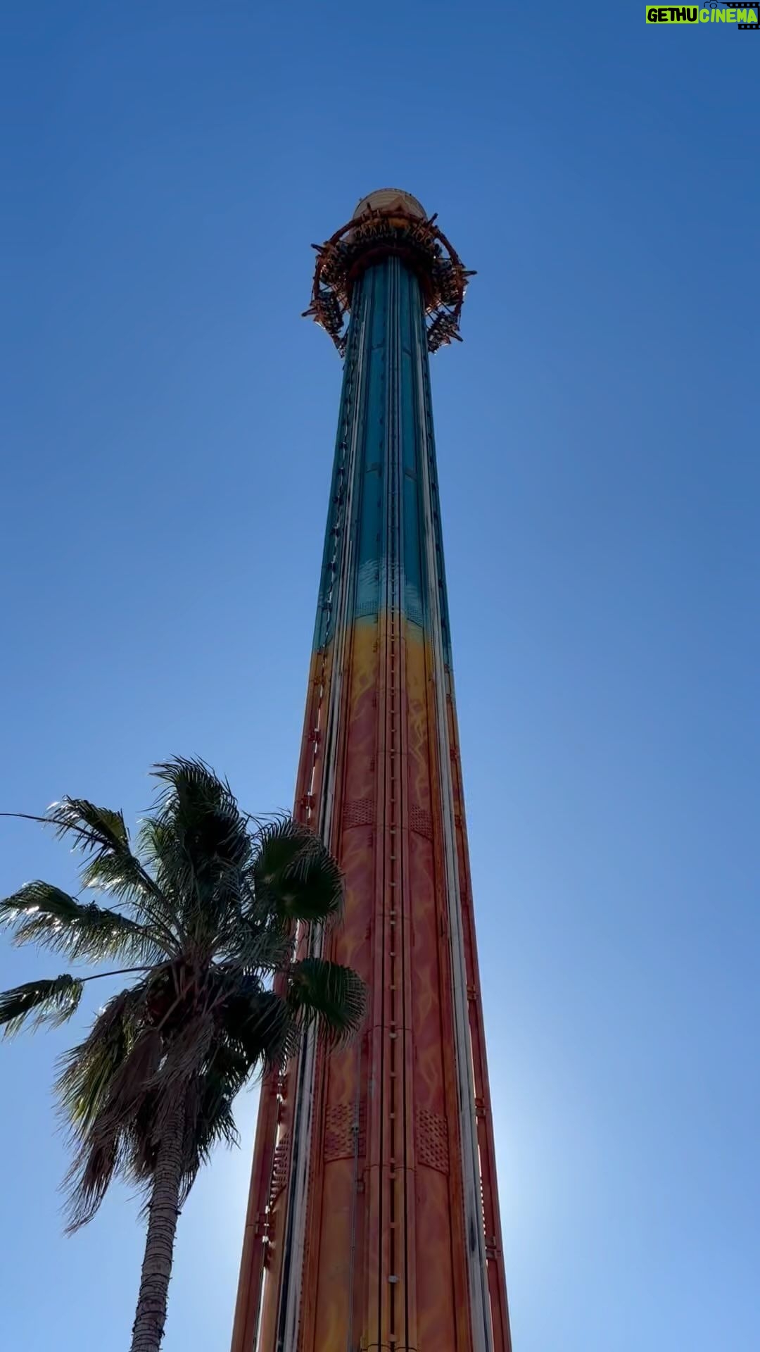 Rafael Vitti Instagram - Liga o som 😂😂😂 @gui @buschgardens @buschgardensbr