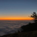 Rainer Dawn Instagram - Golden days Scotts Valley, California