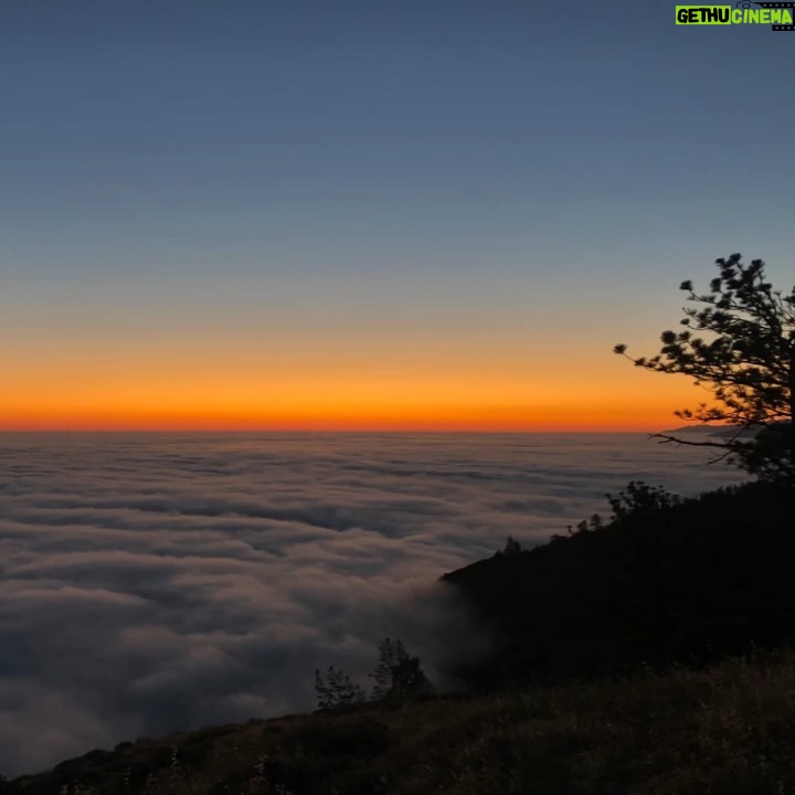 Rainer Dawn Instagram Golden days Scotts Valley, California Gethu