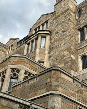 Rainer Dawn Instagram - School of the week