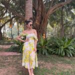Rakul Preet Singh Instagram - Amidst nature I find my zen 💛