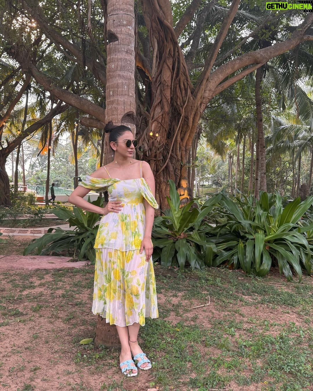 Rakul Preet Singh Instagram - Amidst nature I find my zen 💛