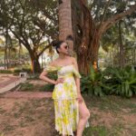 Rakul Preet Singh Instagram - Amidst nature I find my zen 💛