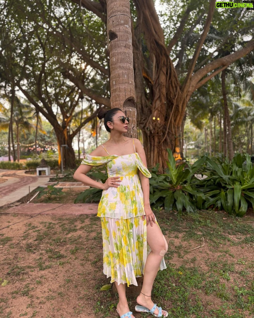Rakul Preet Singh Instagram - Amidst nature I find my zen 💛