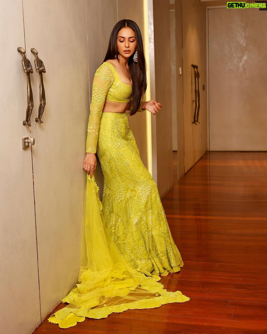 Rakul Preet Singh Instagram - 💛💛💛 Outfit @mishruofficial Earrings @razwada.jewels Rings @nornament Styled by @anshikaav Styling Team @bhatia_tanisha @tanazfatima Makeup @im__sal Hair @aliyashaik28 Shot by @dinesh_ahuja