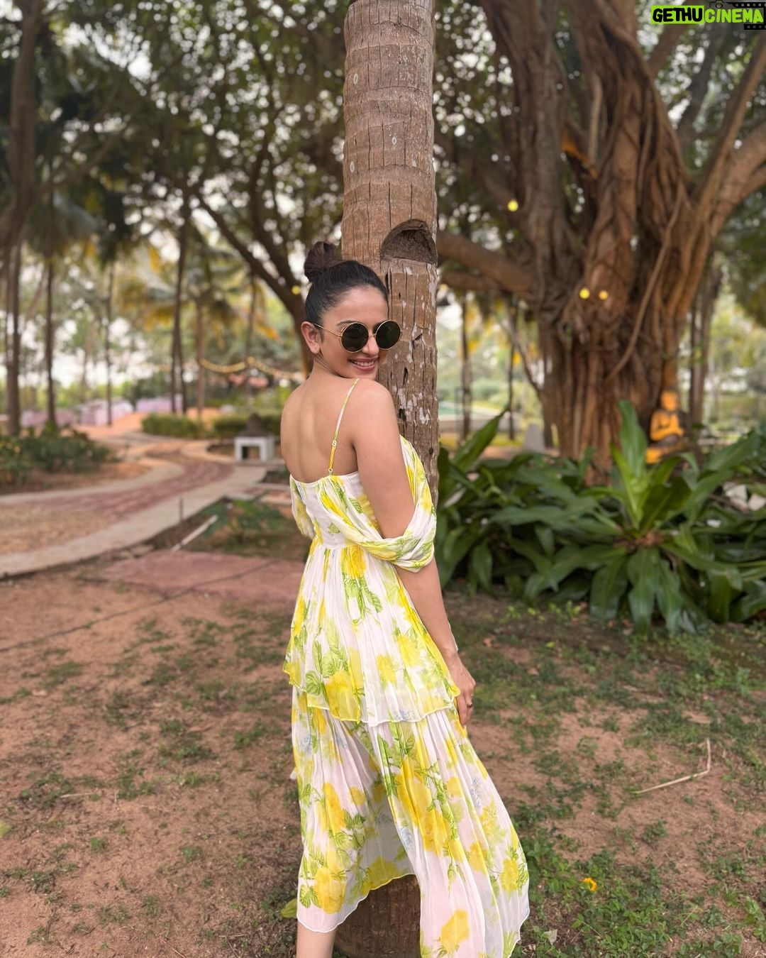Rakul Preet Singh Instagram - Amidst nature I find my zen 💛