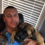 Randy Orton Instagram – Somebody’s getting big! #harleygirl #mastiffmix