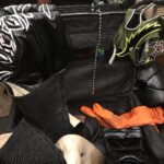 Randy Orton Instagram – …. forgot my lucky orange socks. All set.