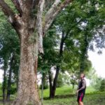 Randy Orton Instagram – Pruning at the Orton household with 2 of my 6 favorite people. #12g #benelli #benellishotguns
