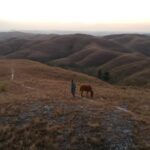 Ranty Maria Instagram - beautiful Sumba Wairinding Hills