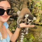 Ranty Maria Instagram – todays zoo dump💙🤍💙🤍 BALI ZOO