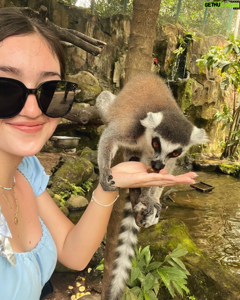Ranty Maria Instagram - todays zoo dump💙🤍💙🤍 BALI ZOO