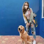 Ranty Maria Instagram - cora chips a.k.a coro a.k.a coring a.k.a anak chantyiqq ditinggal @raniamarchella ke bajo, tp jalanjalan ke dog park💙🤍🤎