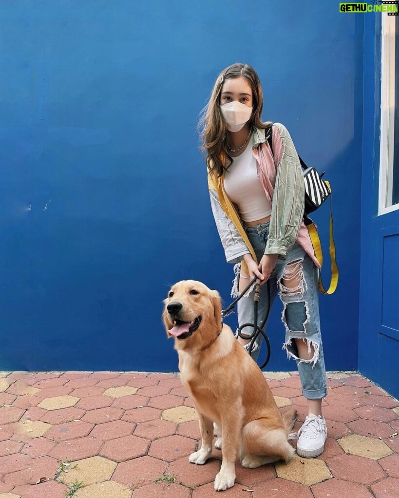 Ranty Maria Instagram - cora chips a.k.a coro a.k.a coring a.k.a anak chantyiqq ditinggal @raniamarchella ke bajo, tp jalanjalan ke dog park💙🤍🤎
