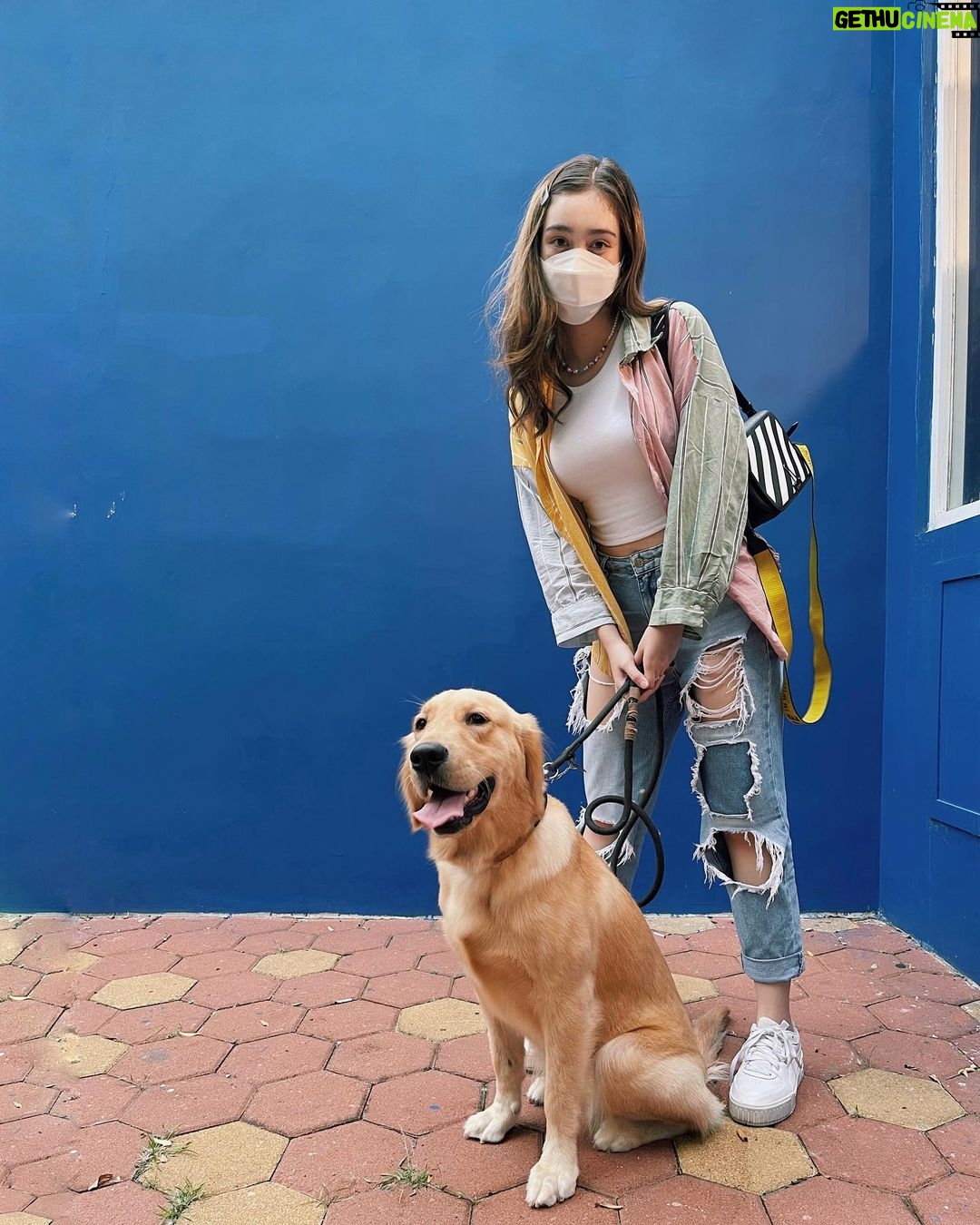 Ranty Maria Instagram - cora chips a.k.a coro a.k.a coring a.k.a anak chantyiqq ditinggal @raniamarchella ke bajo, tp jalanjalan ke dog park๐๐ค๐ค