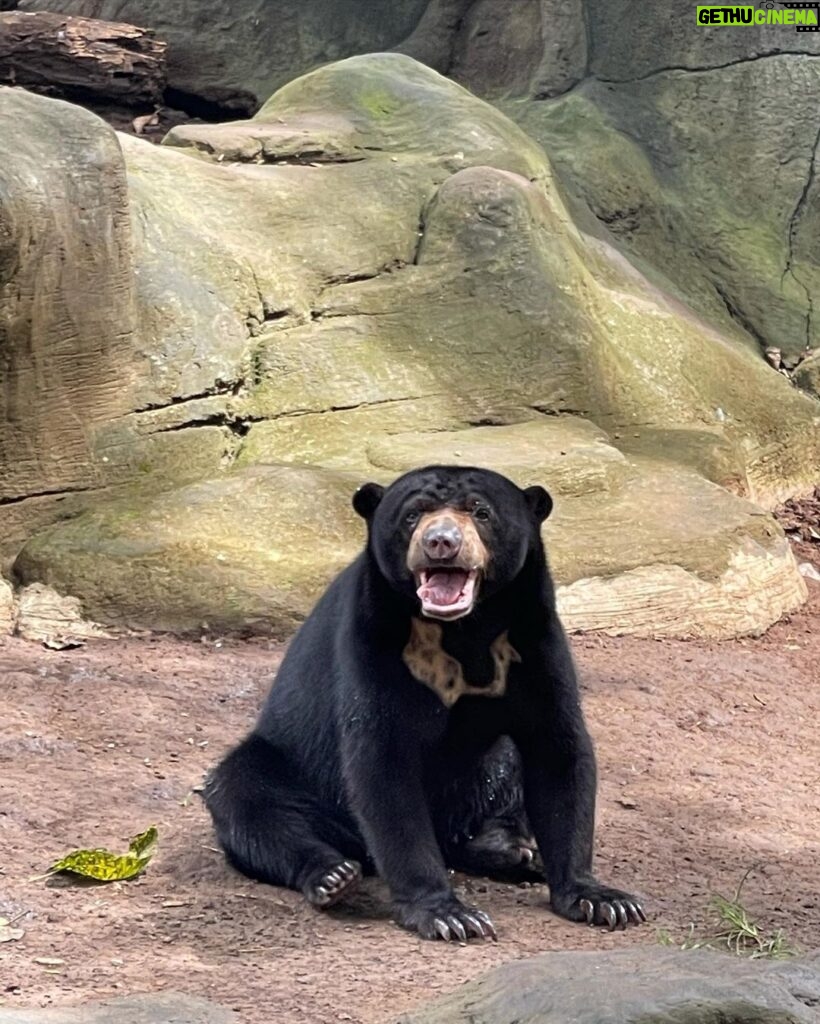 Ranty Maria Instagram - todays zoo dump💙🤍💙🤍 BALI ZOO