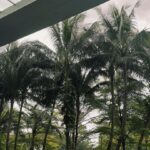 Ranty Maria Instagram - sunday photo dump