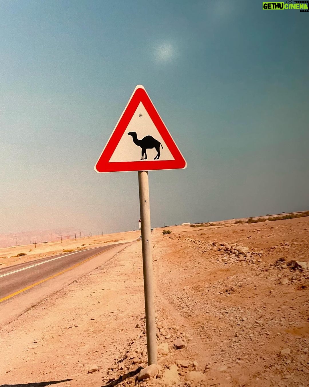 Raphael Sander Instagram - Explorando uma exposição que me fez sentir como se estivesse dentro de um filme de Wes Anderson. Se você também aprecia a magia da simetria e paletas de cores encantadoras, pesquise AccidentalWesAnderson e confira todo esse trabalho. . . . #wesanderson #accidentallywesanderson #art #exposition London, United Kingdom
