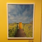 Raphael Sander Instagram – Explorando uma exposição que me fez sentir como se estivesse dentro de um filme de Wes Anderson. Se você também aprecia a magia da simetria e paletas de cores encantadoras, pesquise AccidentalWesAnderson e confira todo esse trabalho. 
.
.
.
#wesanderson #accidentallywesanderson #art #exposition London, United Kingdom