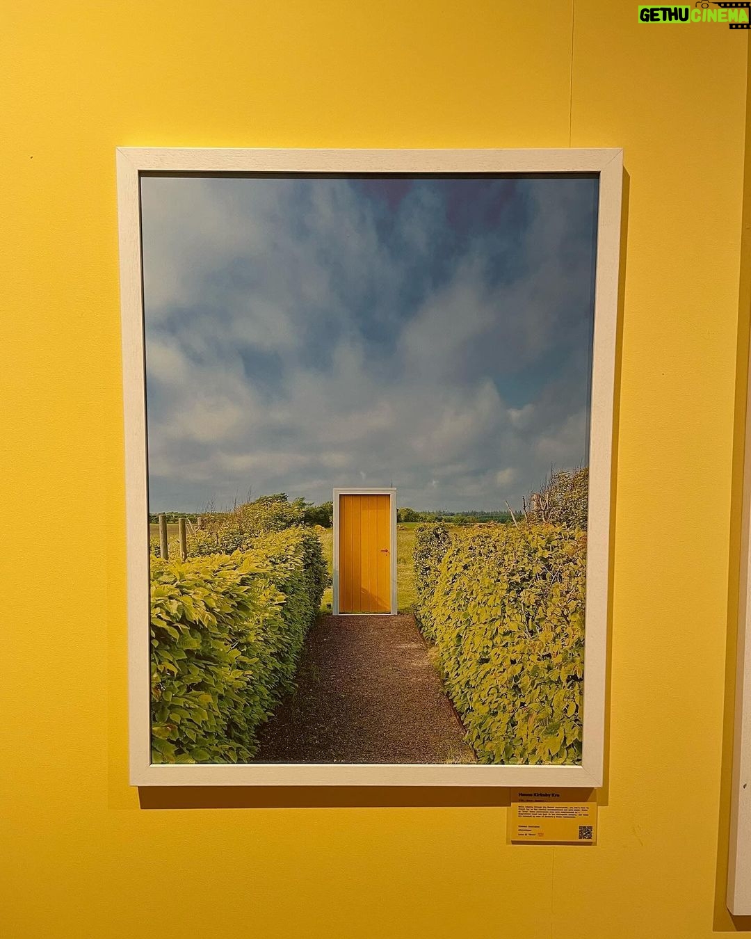 Raphael Sander Instagram - Explorando uma exposição que me fez sentir como se estivesse dentro de um filme de Wes Anderson. Se você também aprecia a magia da simetria e paletas de cores encantadoras, pesquise AccidentalWesAnderson e confira todo esse trabalho. . . . #wesanderson #accidentallywesanderson #art #exposition London, United Kingdom