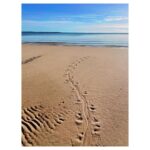 Rarriwuy Hick Instagram - Baru tracks 🐊 #Arnhemliving #wakubaru #becrocwise