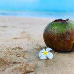 Rarriwuy Hick Instagram – Almost the end to such a wonderful tropical holiday. 
Morning walk along the fisherman’s trail. #jimbaranbeach Jimbaran Beach – Pantai Jimbaran