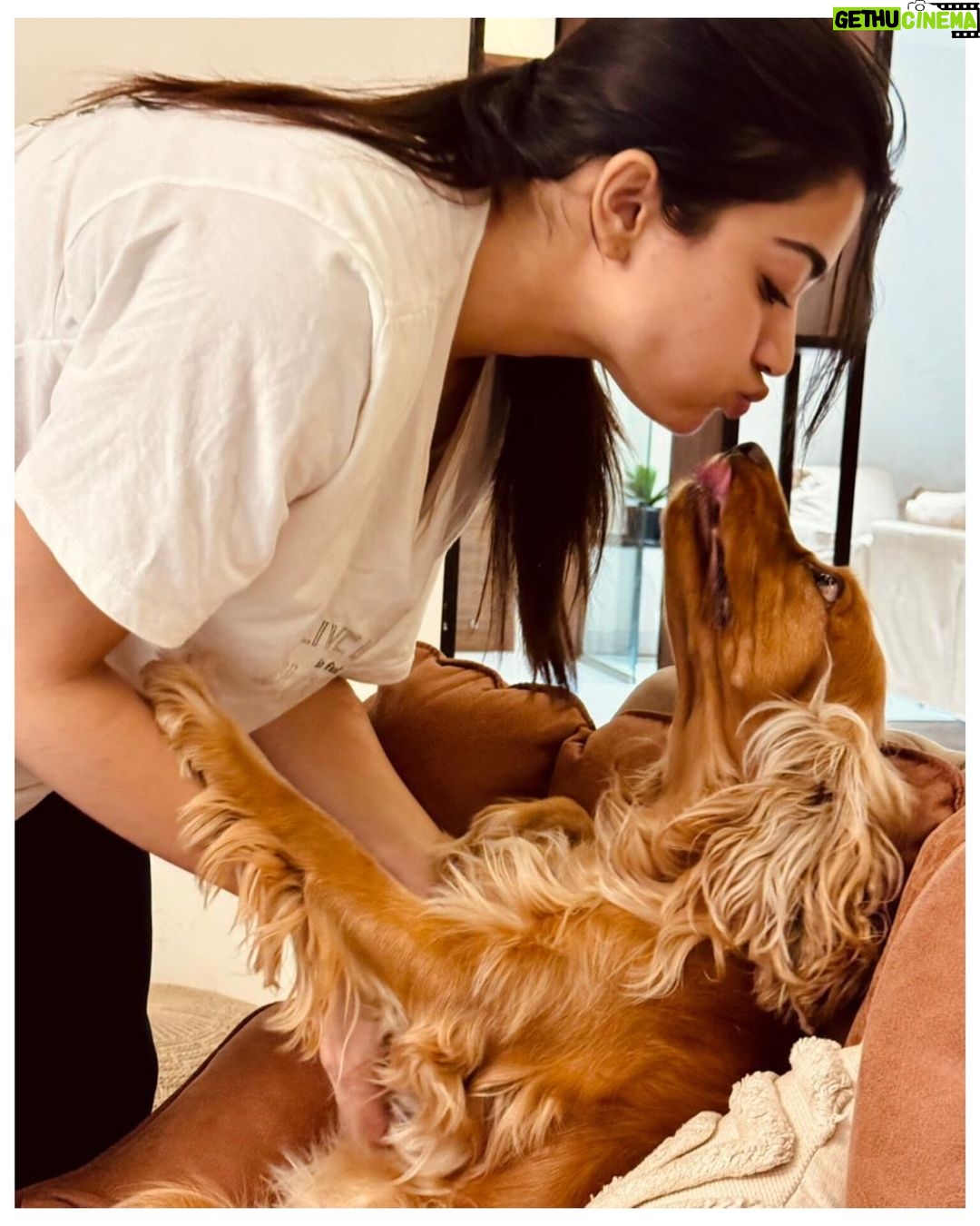 Rashmika Mandanna Instagram - Aura and I wish you a Merry Christmas 🎄❤️✨