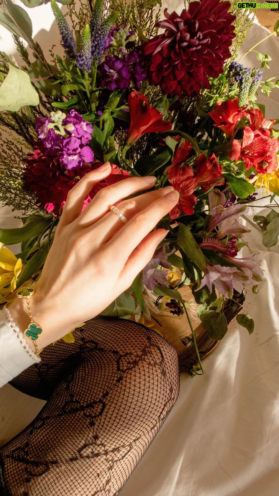 Rebecca Flint Instagram - I tried making an Old Masters’ floral still life arrangement 💐 It’s always a pleasure to have fresh flowers brightening the home, and inspired by the low country artists of the 1600s, I tried my hand at creating an arrangement, instead of putting them in a vase like I always do There’s transient beauty about cut stem flowers, and I hope I was able to honour their presence in my home well with my arrangement! #arrangementflower #meadowcore #closeuppainting #freshflowerarrangement #bouquetoftheday #janvanhuysum #floralstyling #floristry #arthistory #classicalartdetails #artdetails #historyofart #historyart #classicalpainting #17thcenturyart #17thcentury #modernartt #ofwhimsicalmoments #thisjaneaustenlife #fairycore #grandmacore #wherefairiesdwell #theheartofslowliving #thatvelvetfeeling #asecondofwhimsey #dreaminginpictures #amomentofwonder #ofquietmoments #gardencore #whimsicalwonderfulwild The Wallace Collection