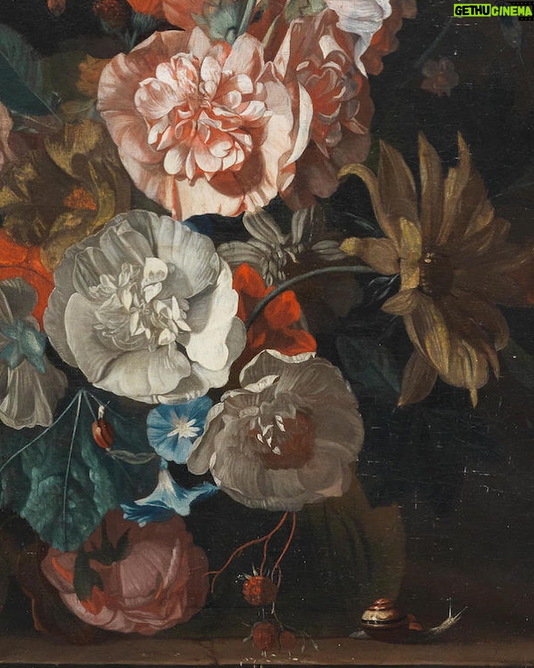 Rebecca Flint Instagram - It’s all about the details 🔍 if you walk past, you may miss it. But stand and stay for a while, and you start to notice little creatures dwelling between the flowers. Is that a beautiful leaf, or a butterfly’s wing? These captivating details continue to draw the viewer in. Still life paintings from the mid-millennium captured the beauties of the natural world, and all its creatures, and looking deeper still, it’s further intriguing to imagine the meanings these insects could convey. A butterfly, freed from her cocoon, represents one beautiful yet sorrowful stage of the divine cycle of life - and meanwhile, the caterpillar, another, more hardy and earthen, less beautiful, but closer to birth than death. Spiders, symbolic of fear and sorrow, creep across the painted pages too, along with beetles (great jewels of nature). One thing’s for certain - a snail is certainly slow enough to make an excellent subject for still life. 🦋 #artdetails #classicalartdetails #natureartdetails #artcloseup #closeuppainting #fineartdetail #arthistory #historyofart #historyart #arthistory101 #artandhistory #arthistorynerd #classicalpainting #freshflowerarrangement #arrangementflower #17thcenturyart #17thcentury #flowerstilllife #painterly #botanicaldaydreams #dutchstilllife #janvanhuysum #rachelruysch #mariavanoosterwijck #1600sart #1600s #tulipmania #floralfriday #snails #gastropod National Gallery