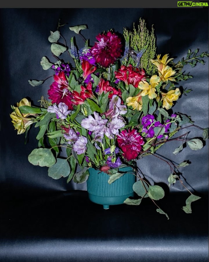 Rebecca Flint Instagram - BEFORE & AFTER: Creating an Old Masters’ floral still life arrangement 🐛 Wow! I really tried my hardest with this but let me tell you, it was kind of difficult to replicate the beautiful way in which these artists paint... I feel like I’m so used to editing people, but editing flowers is a completely different ball game. Would love to know your thoughts! Can you name any of these flowers?💐 P.S. ZOOM IN for bugs! 🐜🐞 #springbulbsurprises #flowersoflondon #earlyspringflowers #springgardening #springbulbs #grownnotflown #botanicalphotography #arthistory101 #freshflowerarrangement #17thcenturyart #arrangementflower #classicalpainting #bouquetoftheday #floralstyling #floristry #17thcentury #historyofart #artofdetails #classicalartdetails #natureartdetails #artcloseup #cottagefairy #wherefairiesdwell #theheartofslowliving #asecondofwhimsey #thatvelvetfeeling #meadowcore #gardencore #quietchaotics #floweraesthetic National Gallery