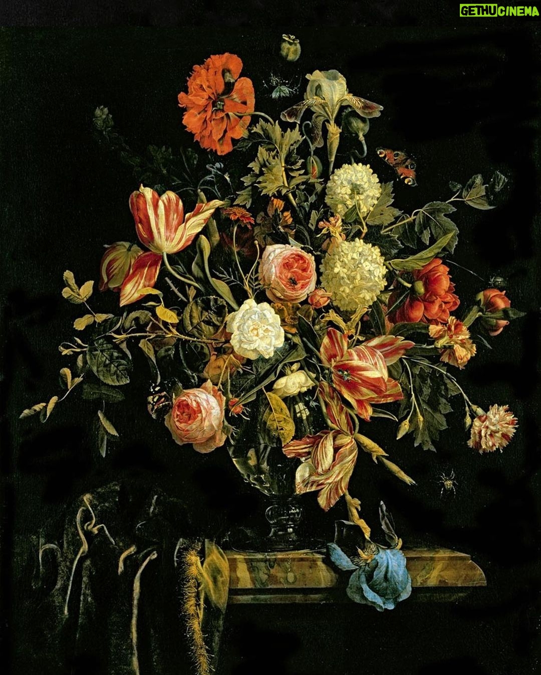 Rebecca Flint Instagram - BEFORE & AFTER: Creating an Old Masters’ floral still life arrangement 🐛 Wow! I really tried my hardest with this but let me tell you, it was kind of difficult to replicate the beautiful way in which these artists paint... I feel like I’m so used to editing people, but editing flowers is a completely different ball game. Would love to know your thoughts! Can you name any of these flowers?💐 P.S. ZOOM IN for bugs! 🐜🐞 #springbulbsurprises #flowersoflondon #earlyspringflowers #springgardening #springbulbs #grownnotflown #botanicalphotography #arthistory101 #freshflowerarrangement #17thcenturyart #arrangementflower #classicalpainting #bouquetoftheday #floralstyling #floristry #17thcentury #historyofart #artofdetails #classicalartdetails #natureartdetails #artcloseup #cottagefairy #wherefairiesdwell #theheartofslowliving #asecondofwhimsey #thatvelvetfeeling #meadowcore #gardencore #quietchaotics #floweraesthetic National Gallery