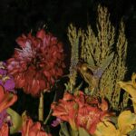 Rebecca Flint Instagram - BEFORE & AFTER: Creating an Old Masters’ floral still life arrangement 🐛 ⁣ ⁣ Wow! I really tried my hardest with this but let me tell you, it was kind of difficult to replicate the beautiful way in which these artists paint... I feel like I’m so used to editing people, but editing flowers is a completely different ball game.⁣ ⁣ Would love to know your thoughts! Can you name any of these flowers?💐⁣ ⁣ P.S. ZOOM IN for bugs! 🐜🐞⁣ ⁣ ⁣ ⁣ ⁣ #springbulbsurprises #flowersoflondon #earlyspringflowers #springgardening #springbulbs #grownnotflown #botanicalphotography #arthistory101 #freshflowerarrangement #17thcenturyart #arrangementflower #classicalpainting #bouquetoftheday #floralstyling #floristry #17thcentury #historyofart #artofdetails #classicalartdetails #natureartdetails #artcloseup #cottagefairy #wherefairiesdwell #theheartofslowliving #asecondofwhimsey #thatvelvetfeeling #meadowcore #gardencore #quietchaotics #floweraesthetic National Gallery