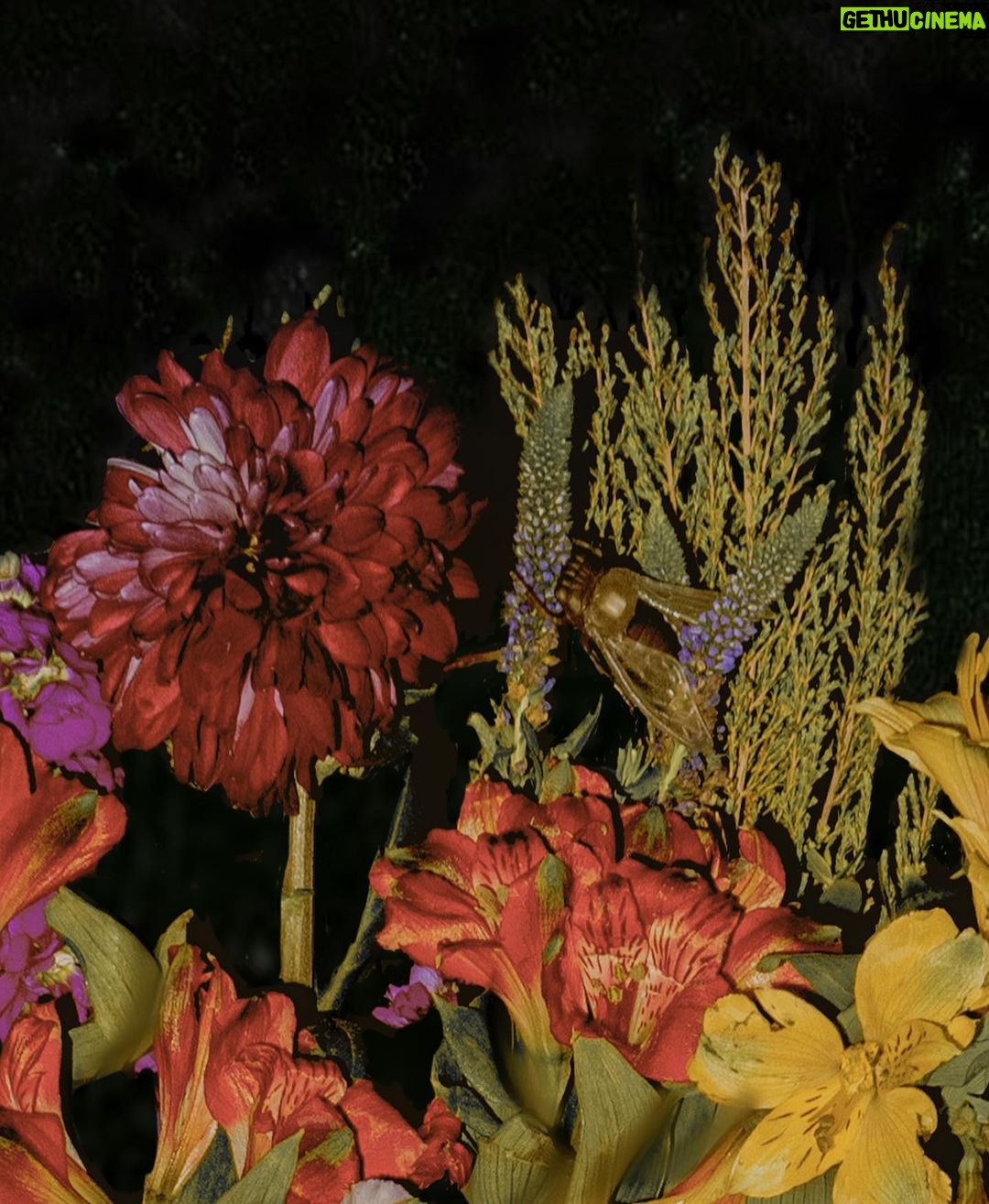 Rebecca Flint Instagram - BEFORE & AFTER: Creating an Old Masters’ floral still life arrangement 🐛 Wow! I really tried my hardest with this but let me tell you, it was kind of difficult to replicate the beautiful way in which these artists paint... I feel like I’m so used to editing people, but editing flowers is a completely different ball game. Would love to know your thoughts! Can you name any of these flowers?💐 P.S. ZOOM IN for bugs! 🐜🐞 #springbulbsurprises #flowersoflondon #earlyspringflowers #springgardening #springbulbs #grownnotflown #botanicalphotography #arthistory101 #freshflowerarrangement #17thcenturyart #arrangementflower #classicalpainting #bouquetoftheday #floralstyling #floristry #17thcentury #historyofart #artofdetails #classicalartdetails #natureartdetails #artcloseup #cottagefairy #wherefairiesdwell #theheartofslowliving #asecondofwhimsey #thatvelvetfeeling #meadowcore #gardencore #quietchaotics #floweraesthetic National Gallery