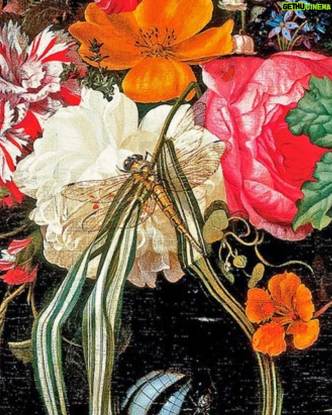 Rebecca Flint Instagram - It’s all about the details 🔍 if you walk past, you may miss it. But stand and stay for a while, and you start to notice little creatures dwelling between the flowers. Is that a beautiful leaf, or a butterfly’s wing? These captivating details continue to draw the viewer in. Still life paintings from the mid-millennium captured the beauties of the natural world, and all its creatures, and looking deeper still, it’s further intriguing to imagine the meanings these insects could convey. A butterfly, freed from her cocoon, represents one beautiful yet sorrowful stage of the divine cycle of life - and meanwhile, the caterpillar, another, more hardy and earthen, less beautiful, but closer to birth than death. Spiders, symbolic of fear and sorrow, creep across the painted pages too, along with beetles (great jewels of nature). One thing’s for certain - a snail is certainly slow enough to make an excellent subject for still life. 🦋 #artdetails #classicalartdetails #natureartdetails #artcloseup #closeuppainting #fineartdetail #arthistory #historyofart #historyart #arthistory101 #artandhistory #arthistorynerd #classicalpainting #freshflowerarrangement #arrangementflower #17thcenturyart #17thcentury #flowerstilllife #painterly #botanicaldaydreams #dutchstilllife #janvanhuysum #rachelruysch #mariavanoosterwijck #1600sart #1600s #tulipmania #floralfriday #snails #gastropod National Gallery