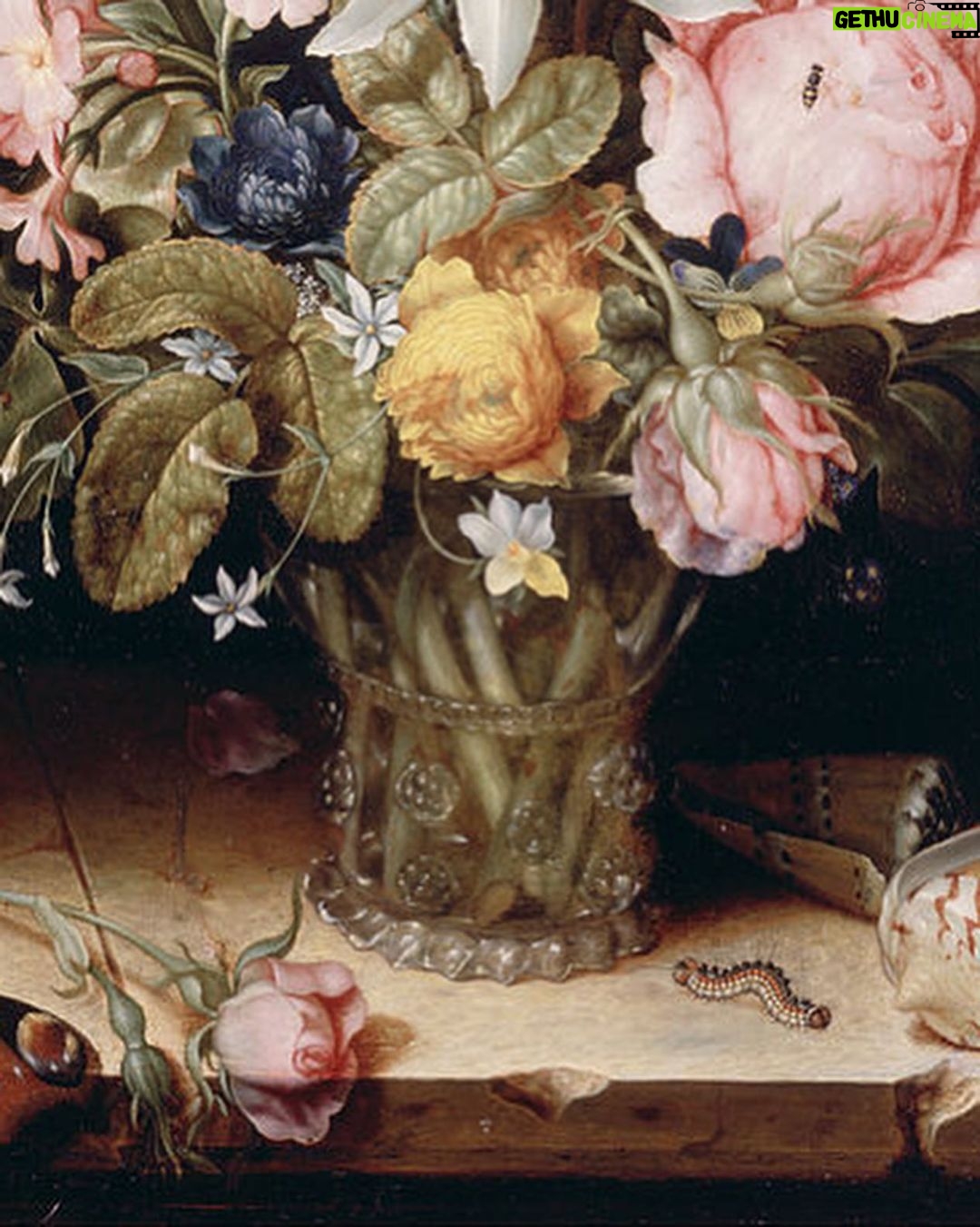 Rebecca Flint Instagram - It’s all about the details 🔍 if you walk past, you may miss it. But stand and stay for a while, and you start to notice little creatures dwelling between the flowers. Is that a beautiful leaf, or a butterfly’s wing? These captivating details continue to draw the viewer in. Still life paintings from the mid-millennium captured the beauties of the natural world, and all its creatures, and looking deeper still, it’s further intriguing to imagine the meanings these insects could convey. A butterfly, freed from her cocoon, represents one beautiful yet sorrowful stage of the divine cycle of life - and meanwhile, the caterpillar, another, more hardy and earthen, less beautiful, but closer to birth than death. Spiders, symbolic of fear and sorrow, creep across the painted pages too, along with beetles (great jewels of nature). One thing’s for certain - a snail is certainly slow enough to make an excellent subject for still life. 🦋 #artdetails #classicalartdetails #natureartdetails #artcloseup #closeuppainting #fineartdetail #arthistory #historyofart #historyart #arthistory101 #artandhistory #arthistorynerd #classicalpainting #freshflowerarrangement #arrangementflower #17thcenturyart #17thcentury #flowerstilllife #painterly #botanicaldaydreams #dutchstilllife #janvanhuysum #rachelruysch #mariavanoosterwijck #1600sart #1600s #tulipmania #floralfriday #snails #gastropod National Gallery