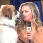 Rebecca Romijn Instagram - #AmericanRescueDogShow2020 continues tonight @hallmarkchannel 8pm! #BestInRescue Don’t miss it