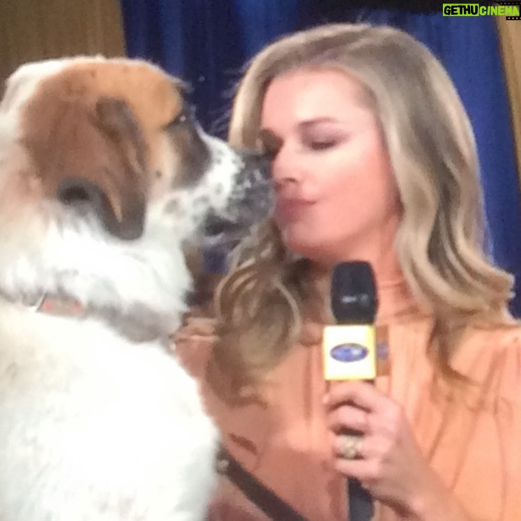 Rebecca Romijn Instagram - #AmericanRescueDogShow2020 continues tonight @hallmarkchannel 8pm! #BestInRescue Don’t miss it