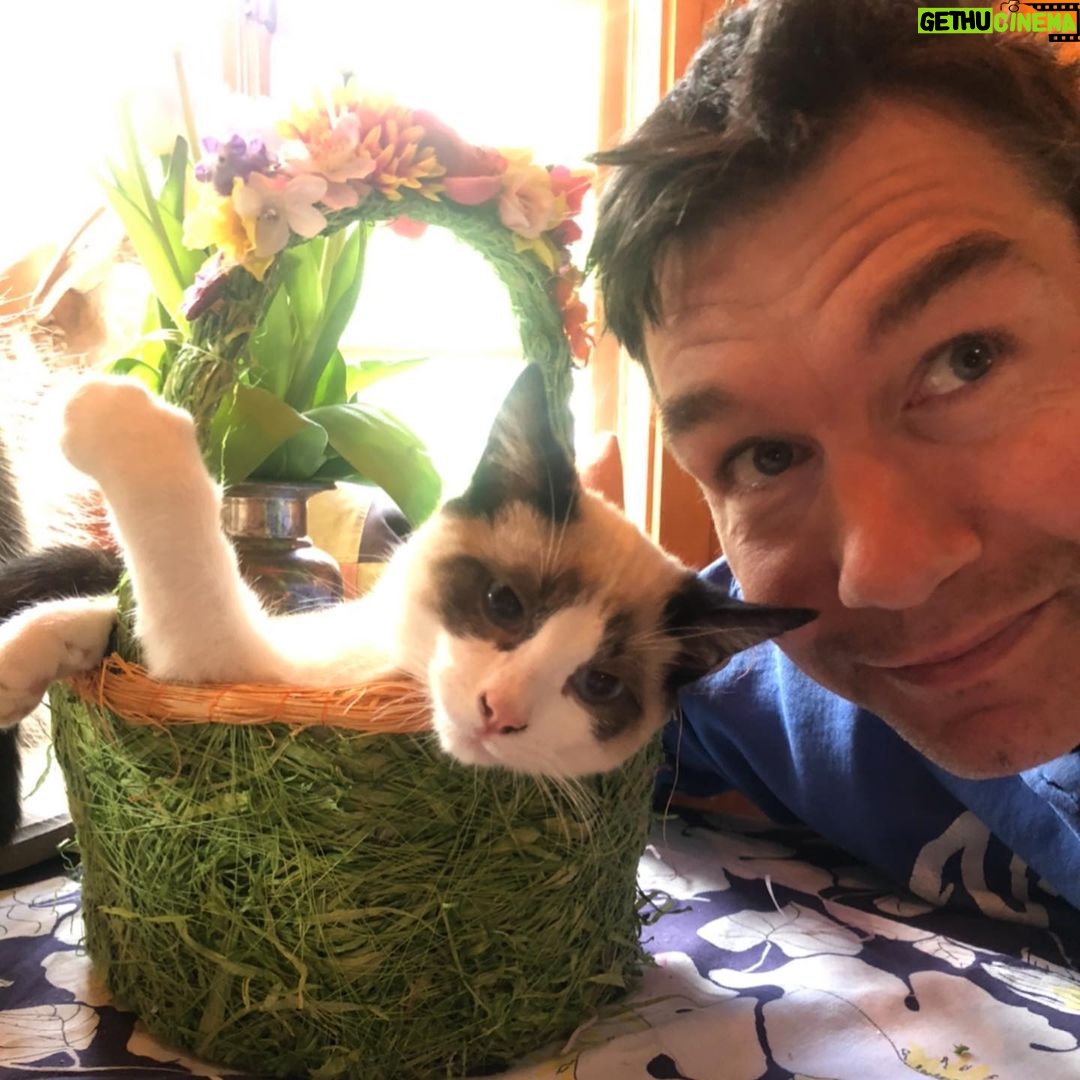 Rebecca Romijn Instagram - Guess we’ll clean up Easter tomorrow. Someone’s bonded with this basket