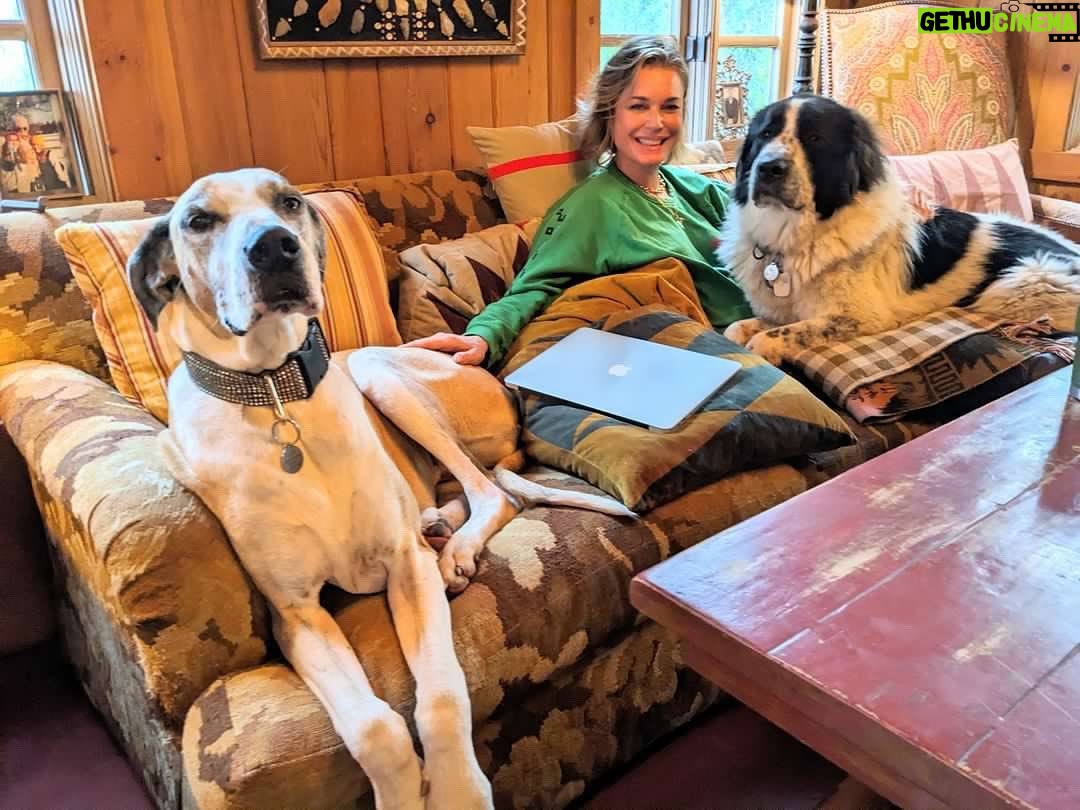 Rebecca Romijn Instagram - #LARain = Less room on the couch
