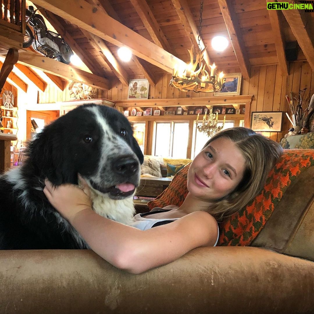 Rebecca Romijn Instagram - My babies chillin’ in the AC. Stay cool everyone!