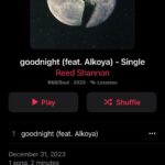 Reed Shannon Instagram - goodnight 2023❤️🪽 check out my new song with @alkoya more music in 24!