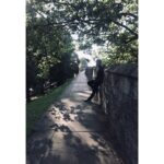 Regé-Jean Page Instagram - Mornin’ Dove