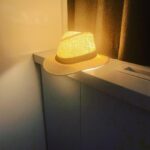 Regina Spektor Instagram – Milwaukee you’re next! July 28th USA dates begin & here’s an accidental straw hat lamp I created in London. I want one in real life. Looked so warm and cozy 💕💫