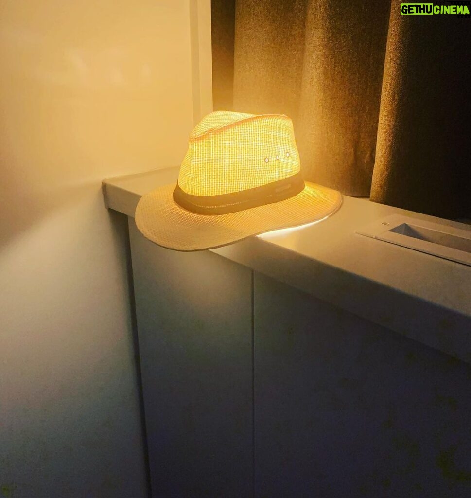 Regina Spektor Instagram - Milwaukee you’re next! July 28th USA dates begin & here’s an accidental straw hat lamp I created in London. I want one in real life. Looked so warm and cozy 💕💫
